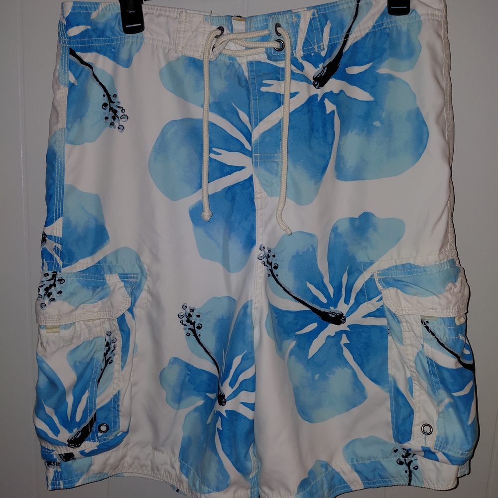 Hollister Blue and White Swim Shorts